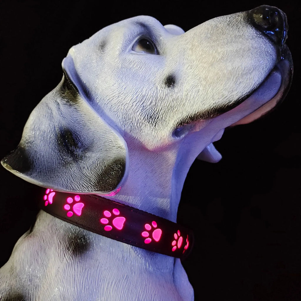 Creative dog luminous collar with multi-colour LED paw print design on adjustable polyester band