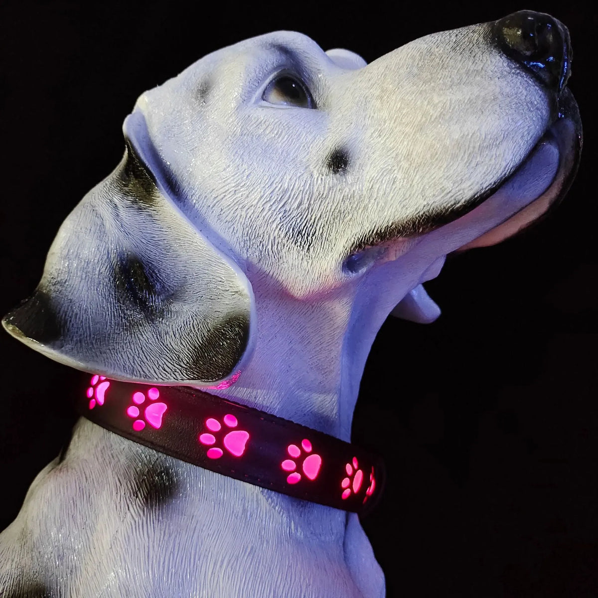 Creative dog luminous collar with multi-colour LED paw print design on adjustable polyester band