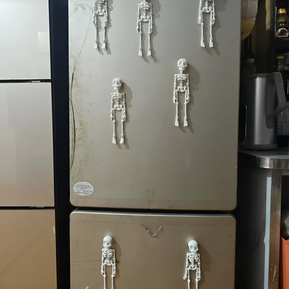 3D printed white skull refrigerator magnet showing detailed modelling at 18cm height