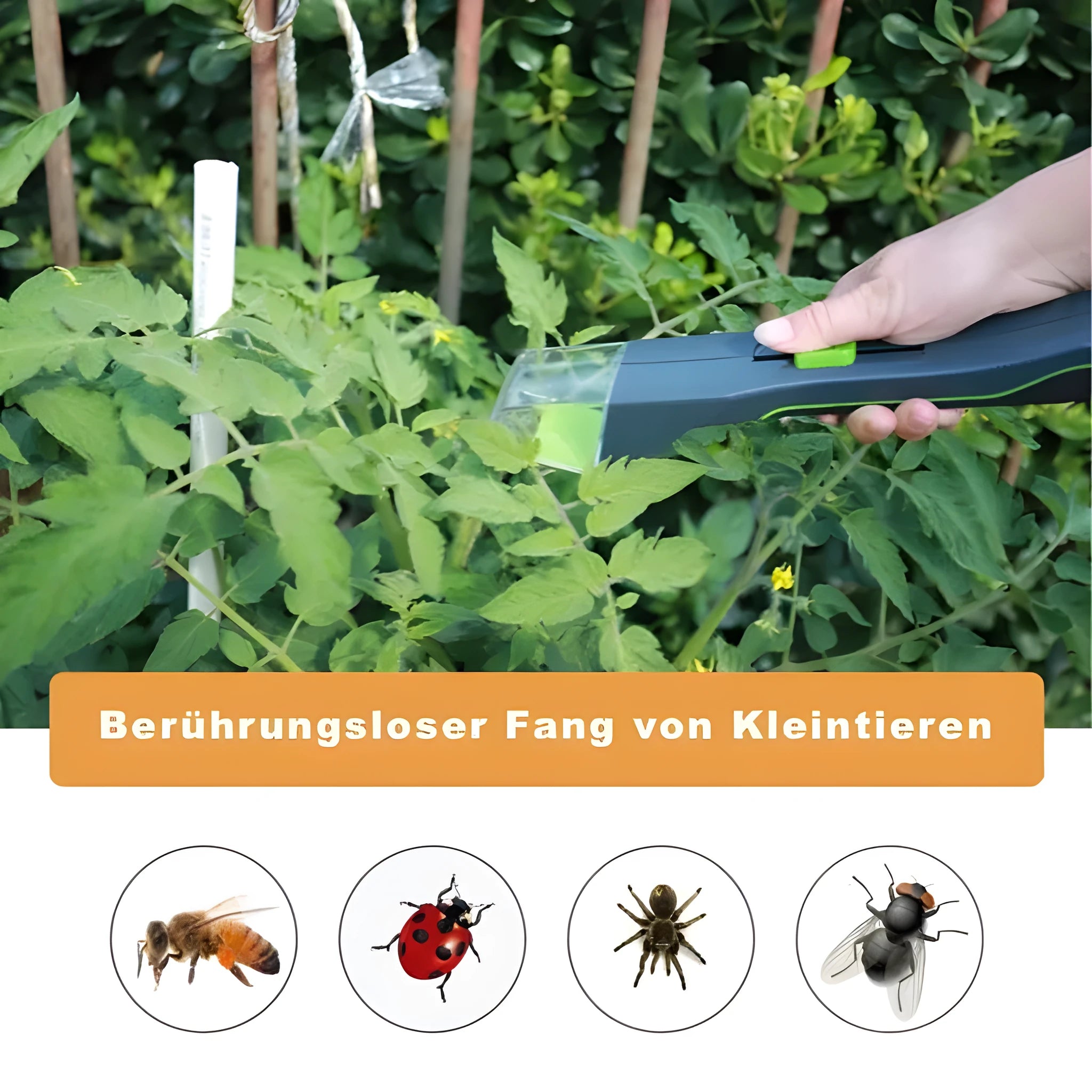 Green plastic handheld insect catcher for garden pest control