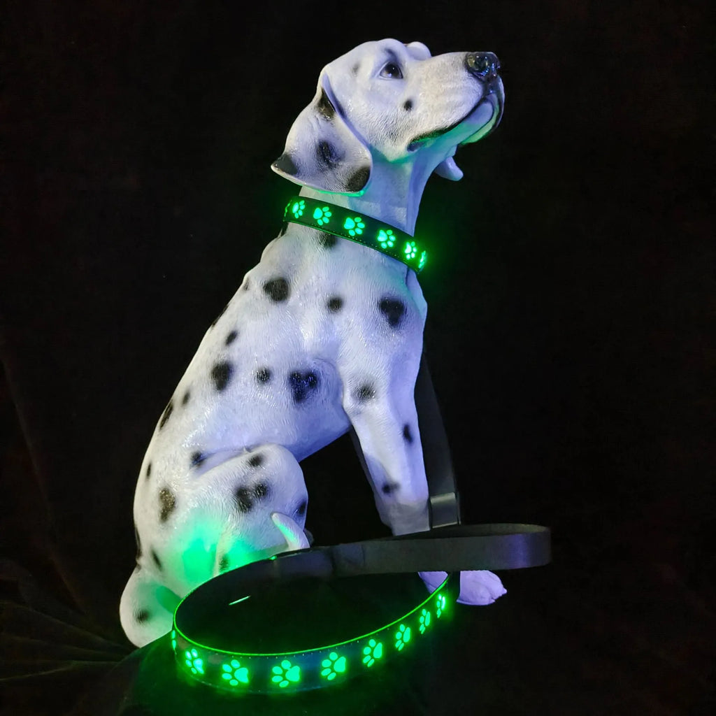 Creative dog luminous collar with multi-colour LED paw print design on adjustable polyester band