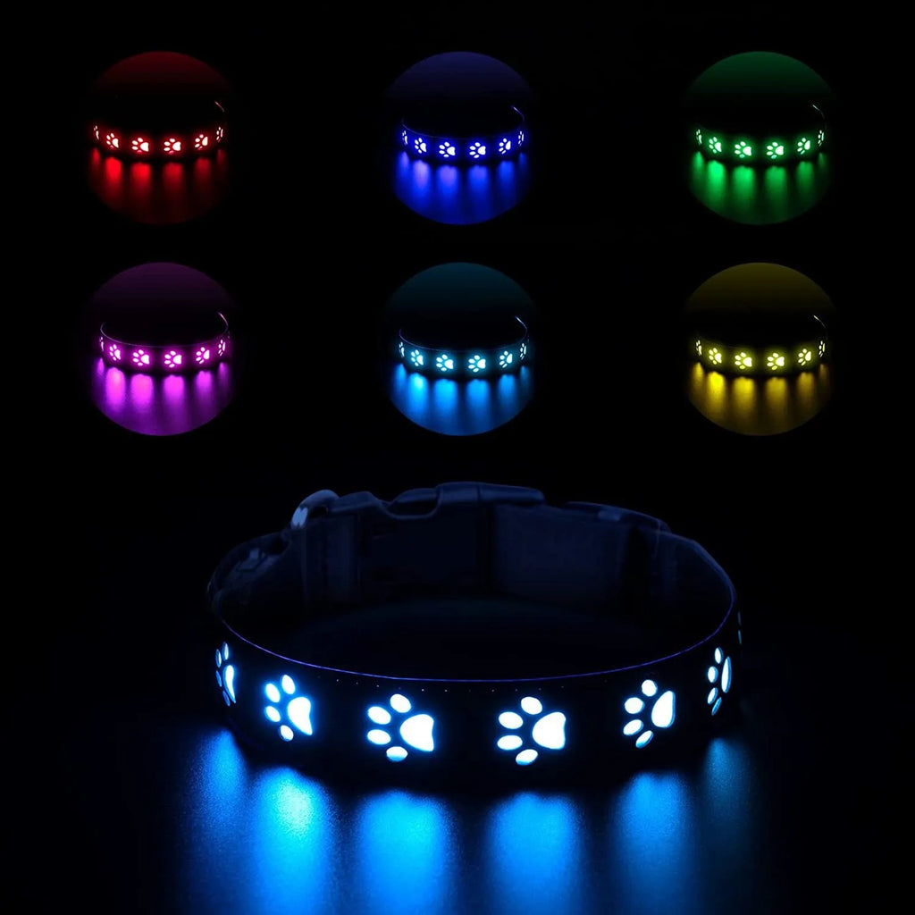 Creative dog luminous collar with multi-colour LED paw print design on adjustable polyester band