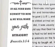 Stainless steel bookmark in CF-S5170 colour for family bibles.
