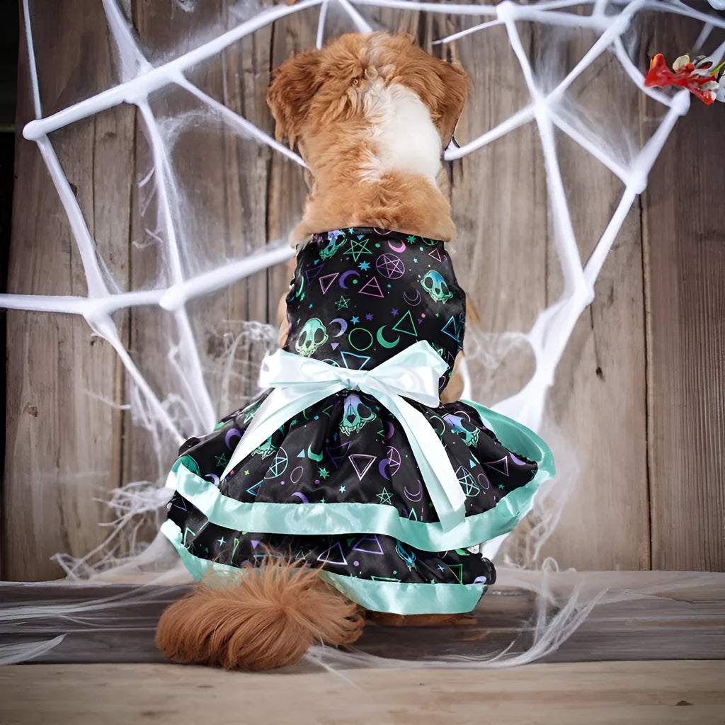 Halloween dog skirt costume with colourful pumpkin pattern on pet