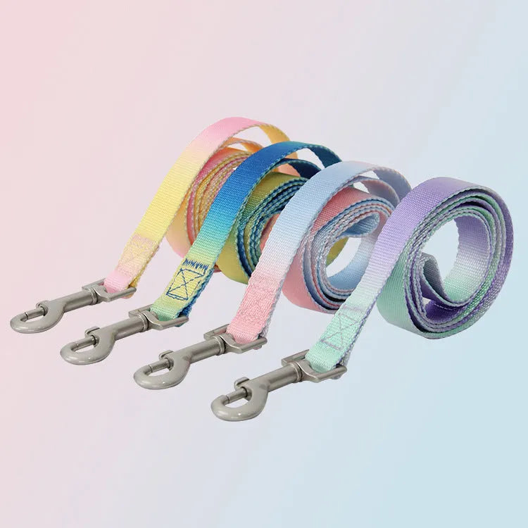 Nylon dog leash and collar set in gradient colours of pink and blue for small or medium breeds