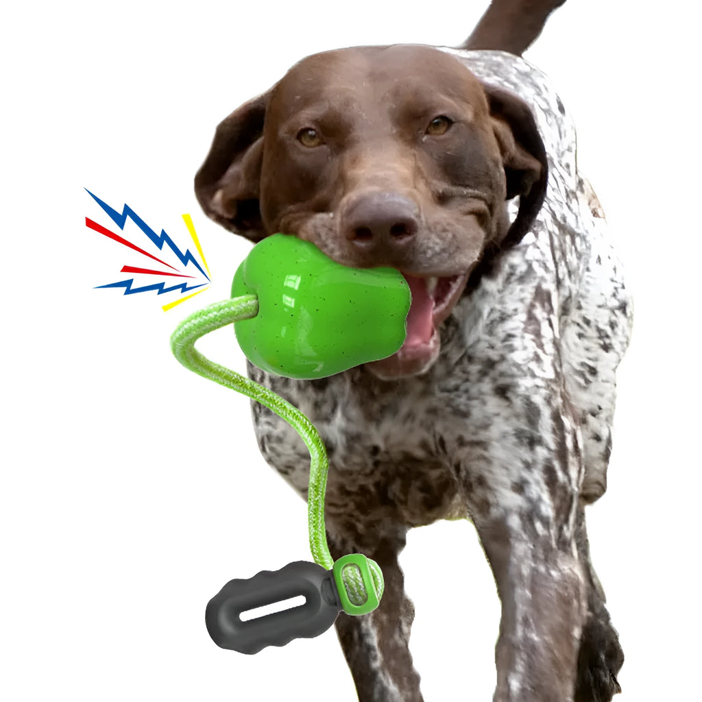 Plastic apple-shaped dog toy with squeaker in green or red for outdoor fetch and chewing