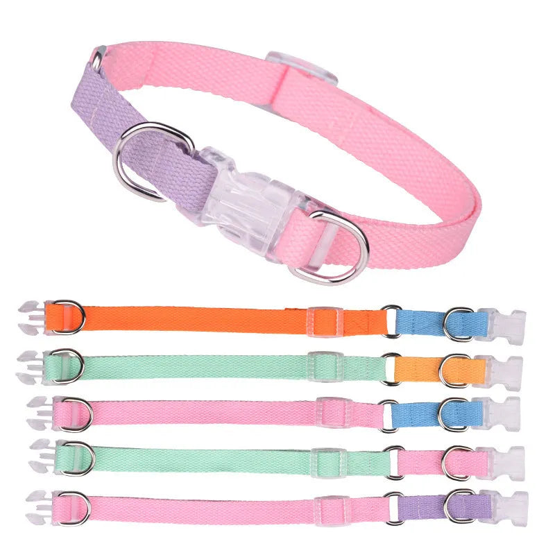 Polyester ribbed dog collar with matching lead and chest strap in green and pink colour combination
