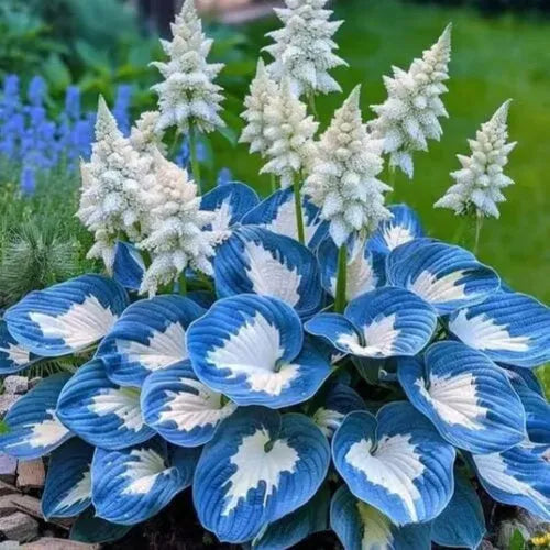 OPP packaged coloured leaves jade barrettes seeds in mixed styles