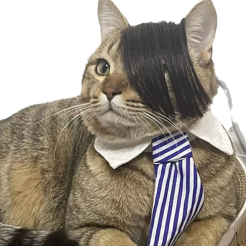 Black polyester cat wig with imitation braid style for pet costume dress-up