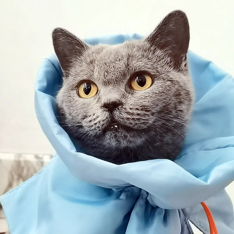 Soft adjustable cat recovery cone collar in light blue with elastic buckle for wound protection