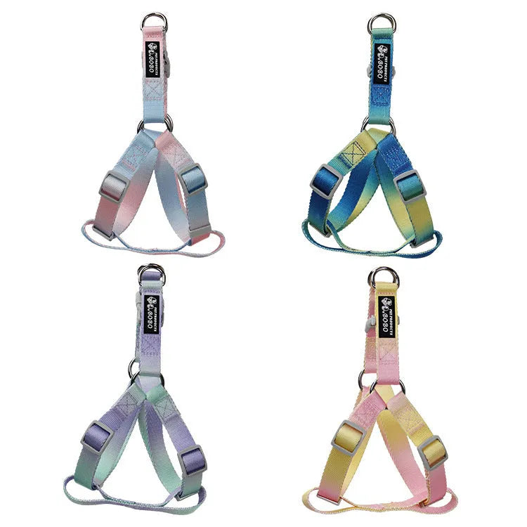 Nylon dog leash and collar set in gradient colours of pink and blue for small or medium breeds