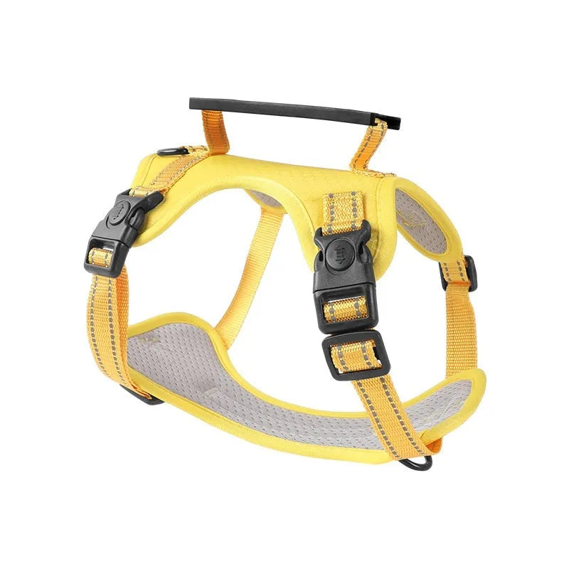 Adjustable dog chest harness with matching lead in multiple colour options