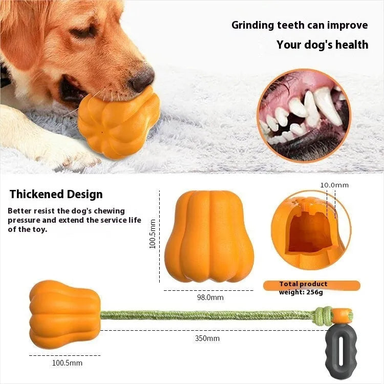 Orange pumpkin-shaped plastic dog chew toy with blue rope attached for tugging and fetching