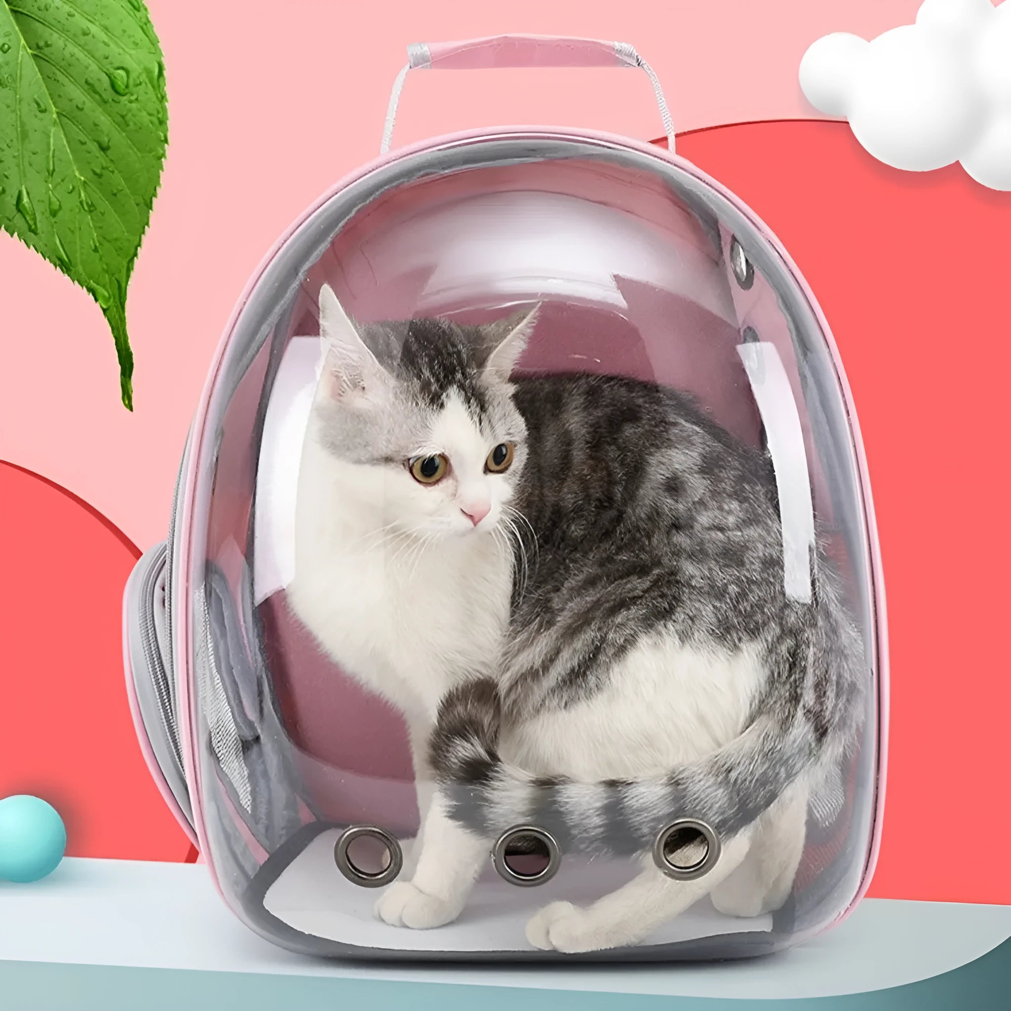 Medium hard PC astronaut-style pet carrier bag with side opening in various colour options