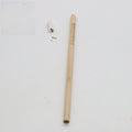 Seed pencil refill with coloured degradable capsule containing flower and herb seeds