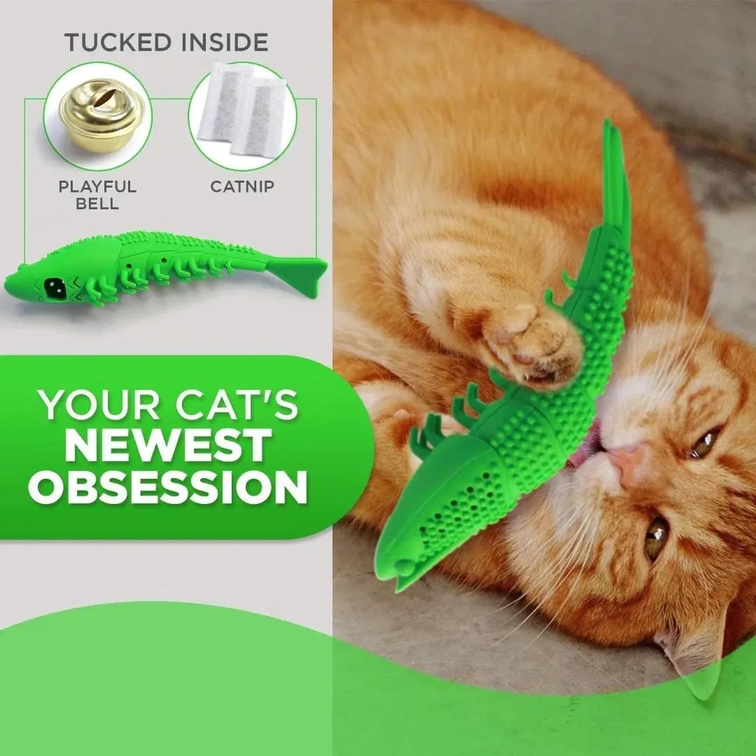 Blue hard rubber cat chew toy for dental cleaning with catnip centre.