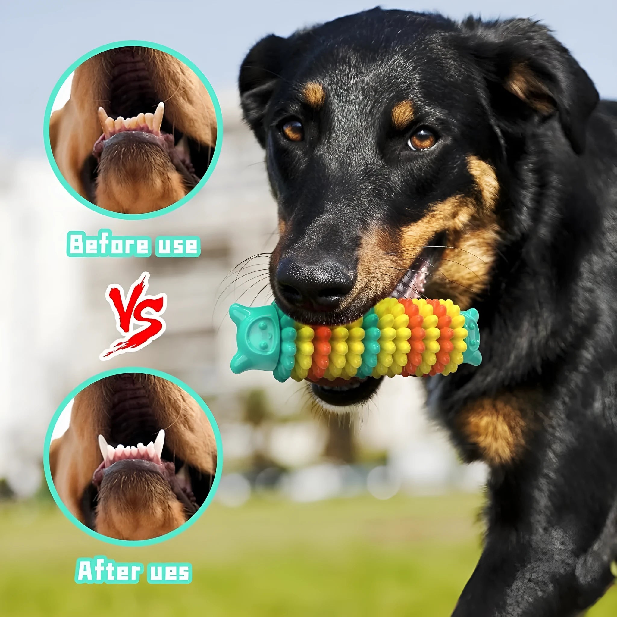 Blue green pink rubber caterpillar dog chew toy 17cm long for aggressive chewers