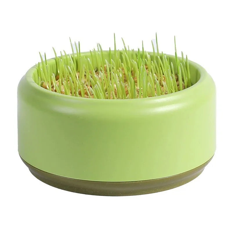 Hydroponic cat grass kit with blue, green and yellow growing cup options and seed packs
