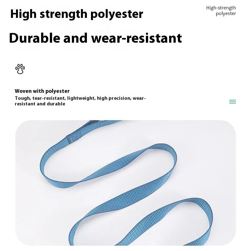 Solid colour nylon dog lead rope in blue, shown with a 120cm length and a hand holding it.