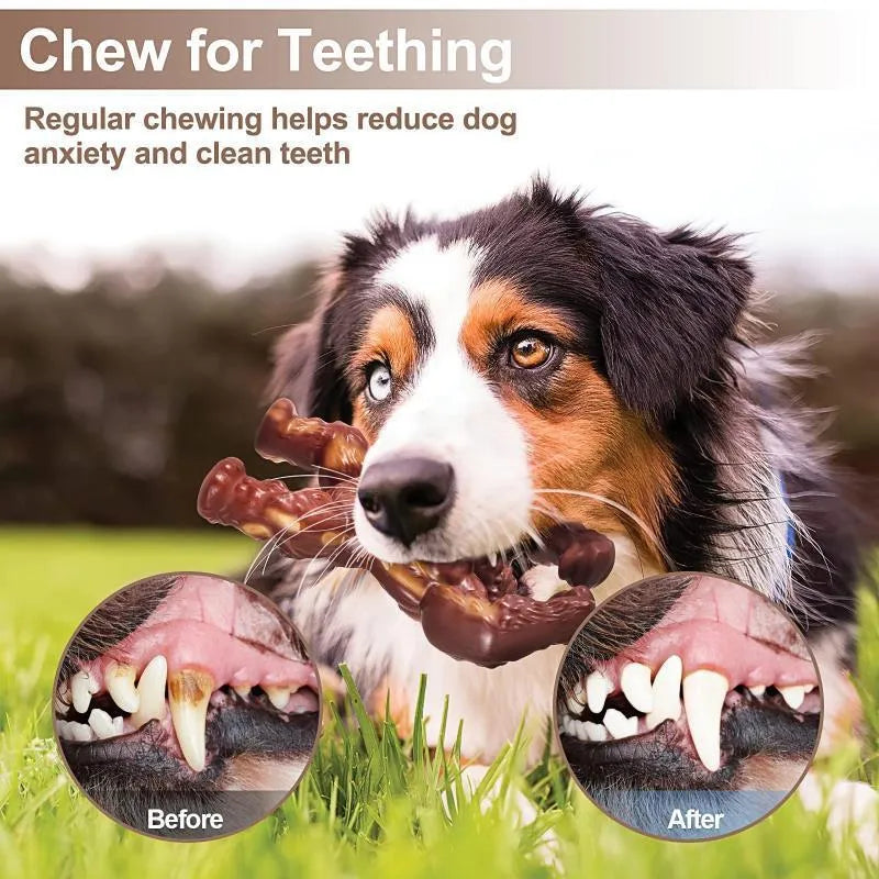 Scarlet nylon dog chew toy with beef flavour for aggressive chewers