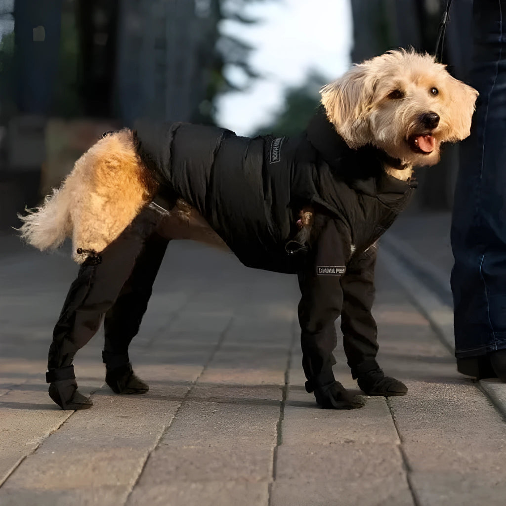 Black waterproof non-slip dog shoes with adjustable strap for paw protection