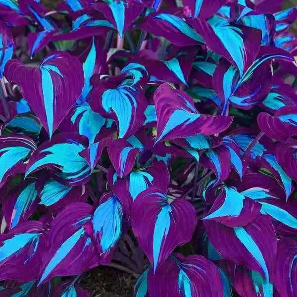 OPP packaged coloured leaves jade barrettes seeds in mixed styles