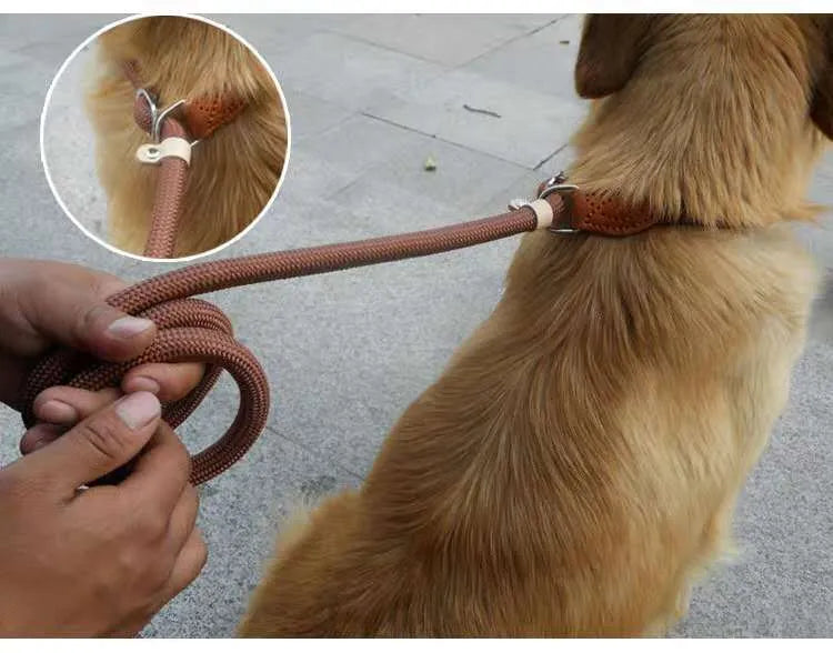 Brown nylon P-chain dog leash measuring 2.1 metres with hand holding rope