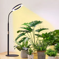 White floor-standing plant grow light with 6-inch angel ring design and adjustable height pole