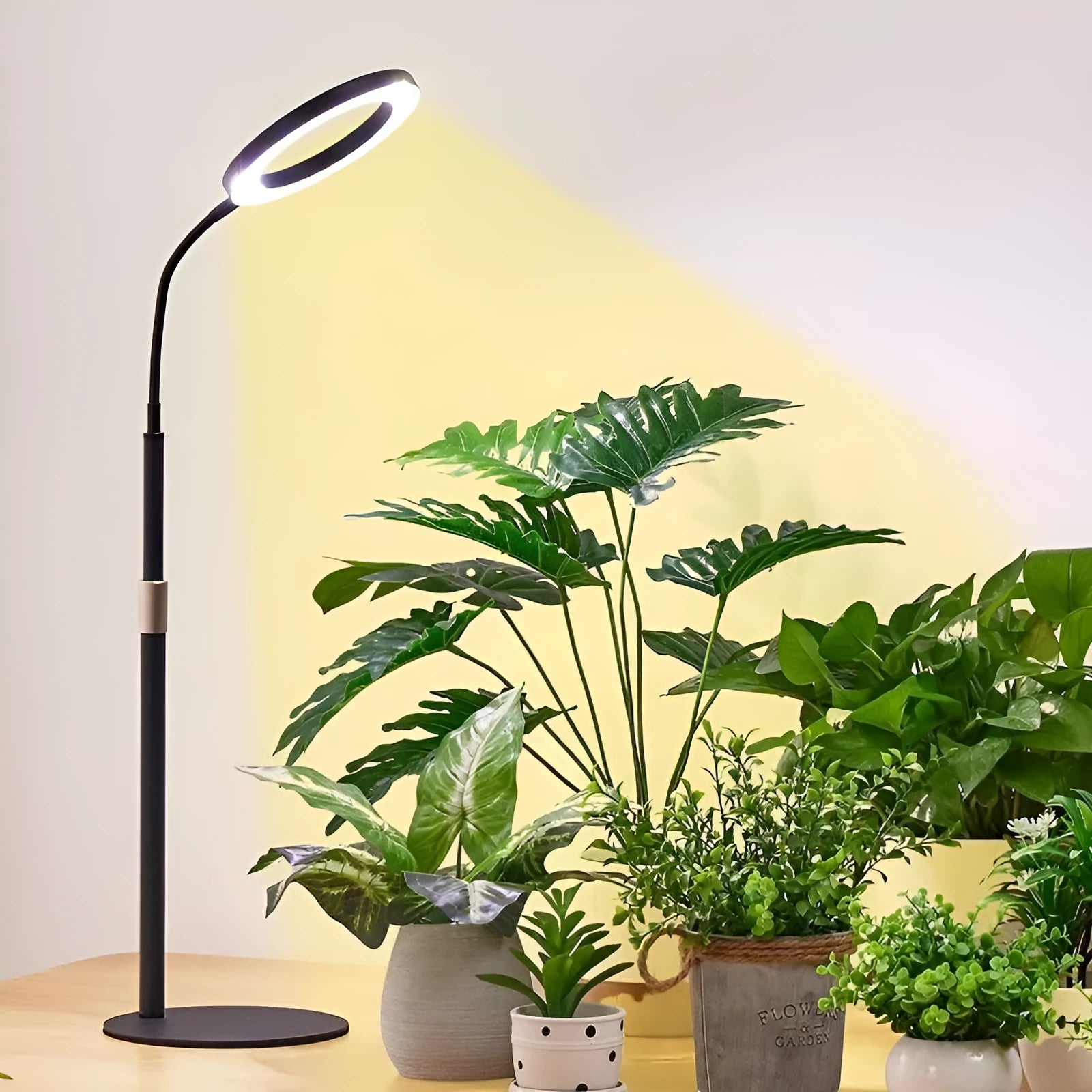 White floor-standing plant grow light with 6-inch angel ring design and adjustable height pole