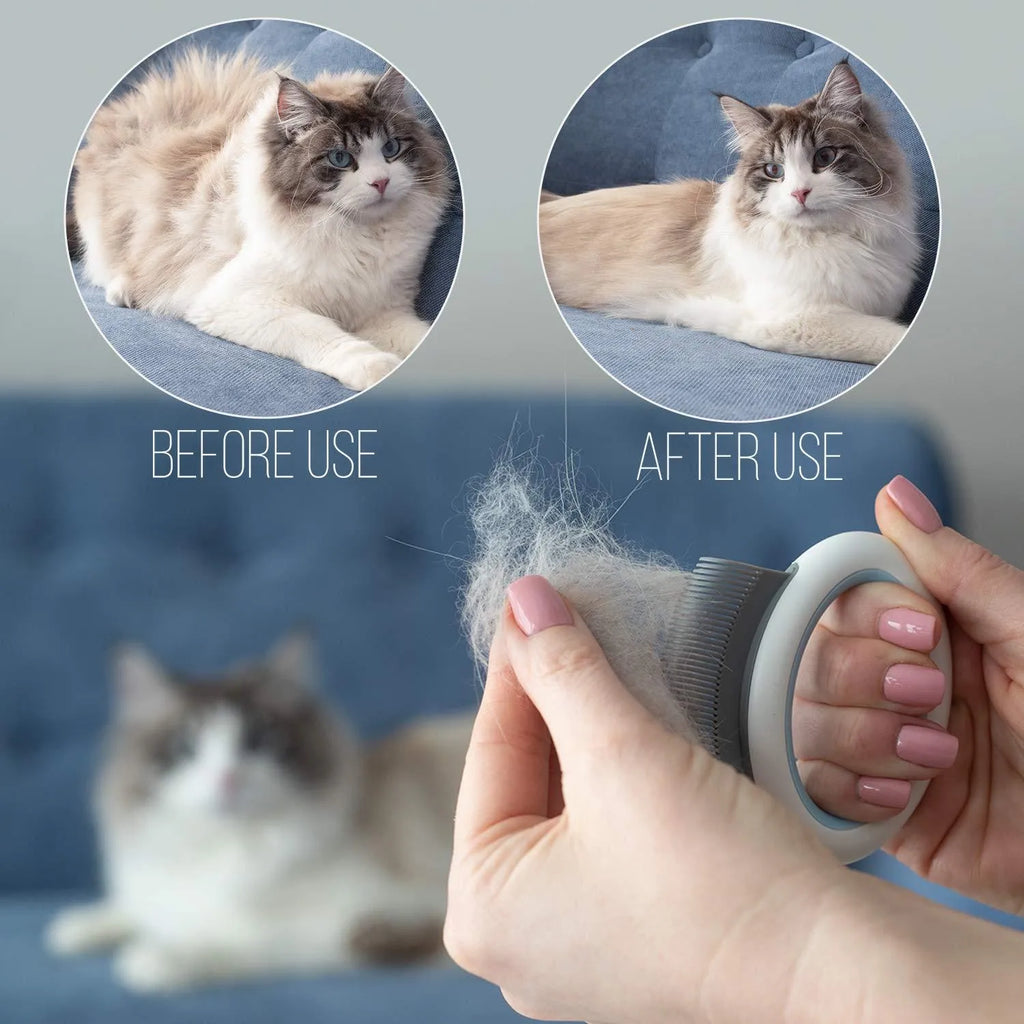 Blue plastic pet grooming comb with soft teeth and ergonomic handle for cats and dogs