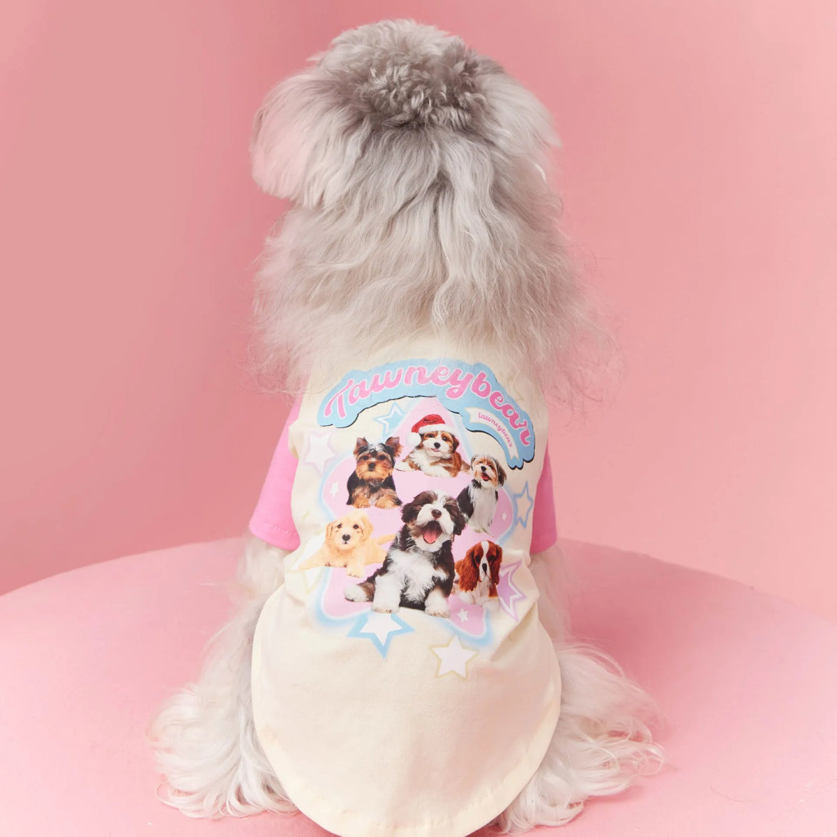 Cotton dog summer clothes in embroidered red or pink with contrast detailing