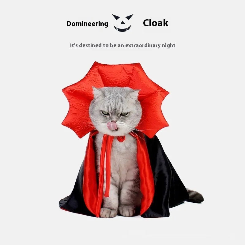 Black and red Halloween costume for a cat or dog on a hanger.