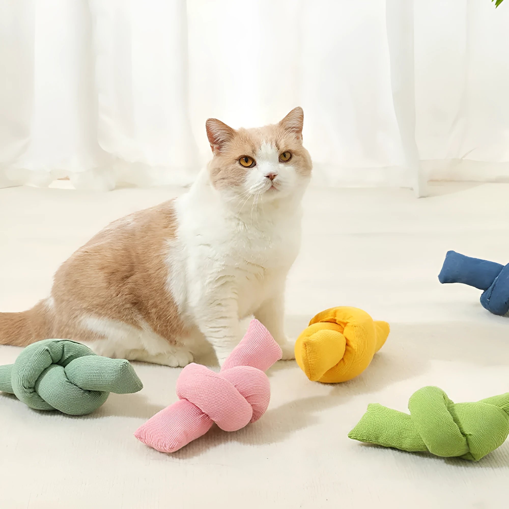 White knotted cotton dog rope toy for tugging and chewing.