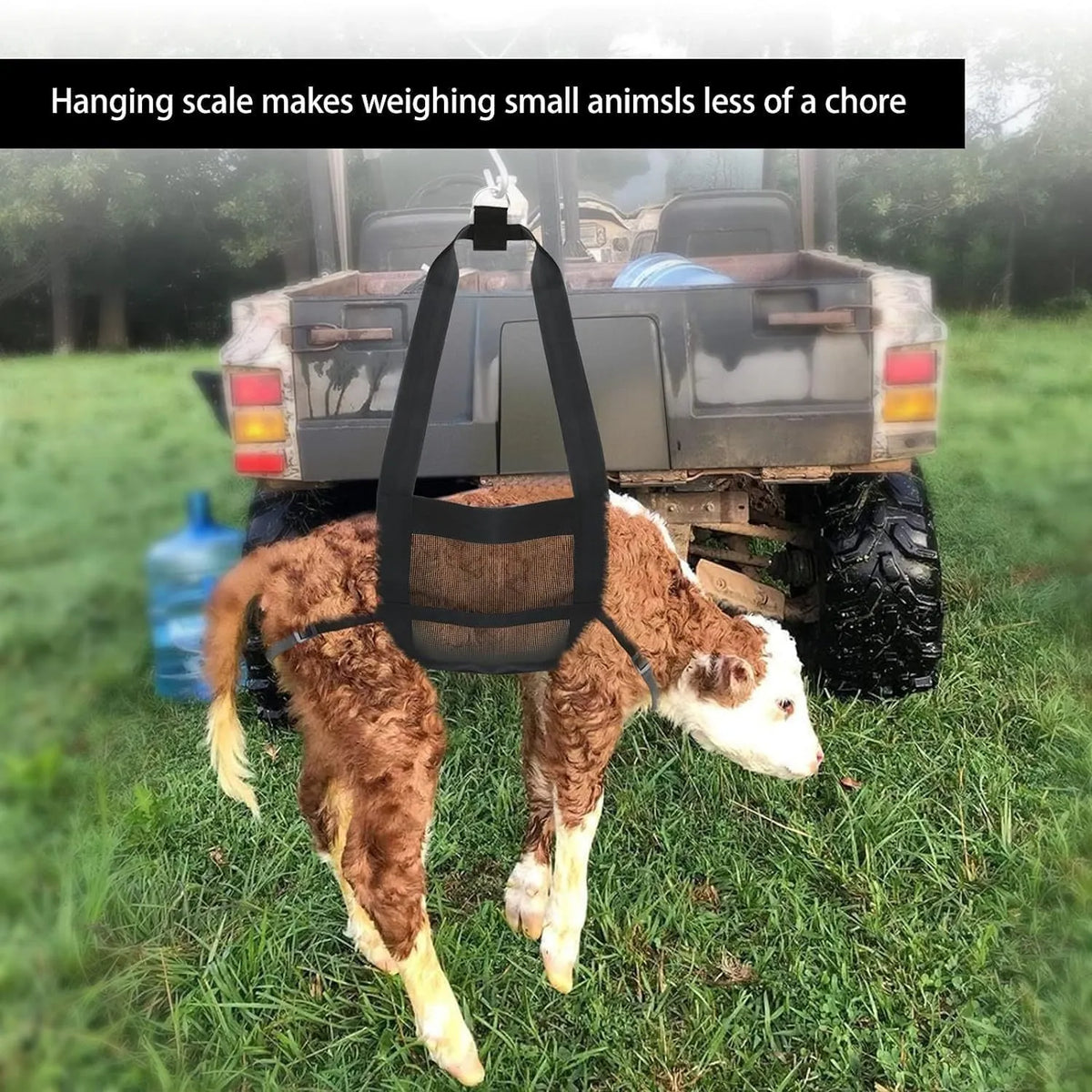 Black PVC-coated calf weighing sling with adjustable straps on a white background.