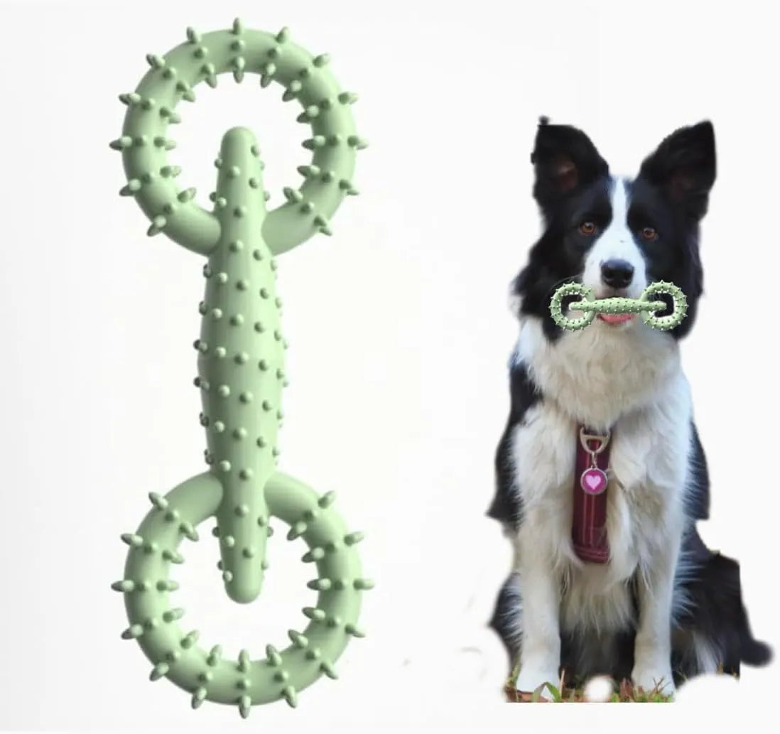 Blue TPR dog chew ring toy for puppy teething, 16cm diameter with green and pink colour options