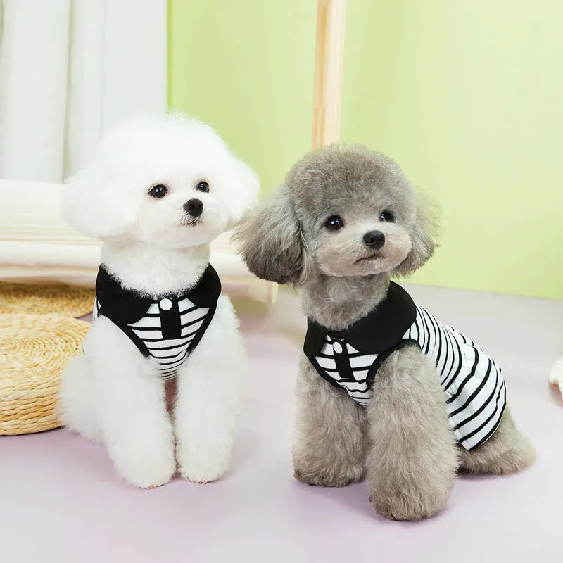 Pet wearing cotton striped t-shirt and skirt summer clothing set