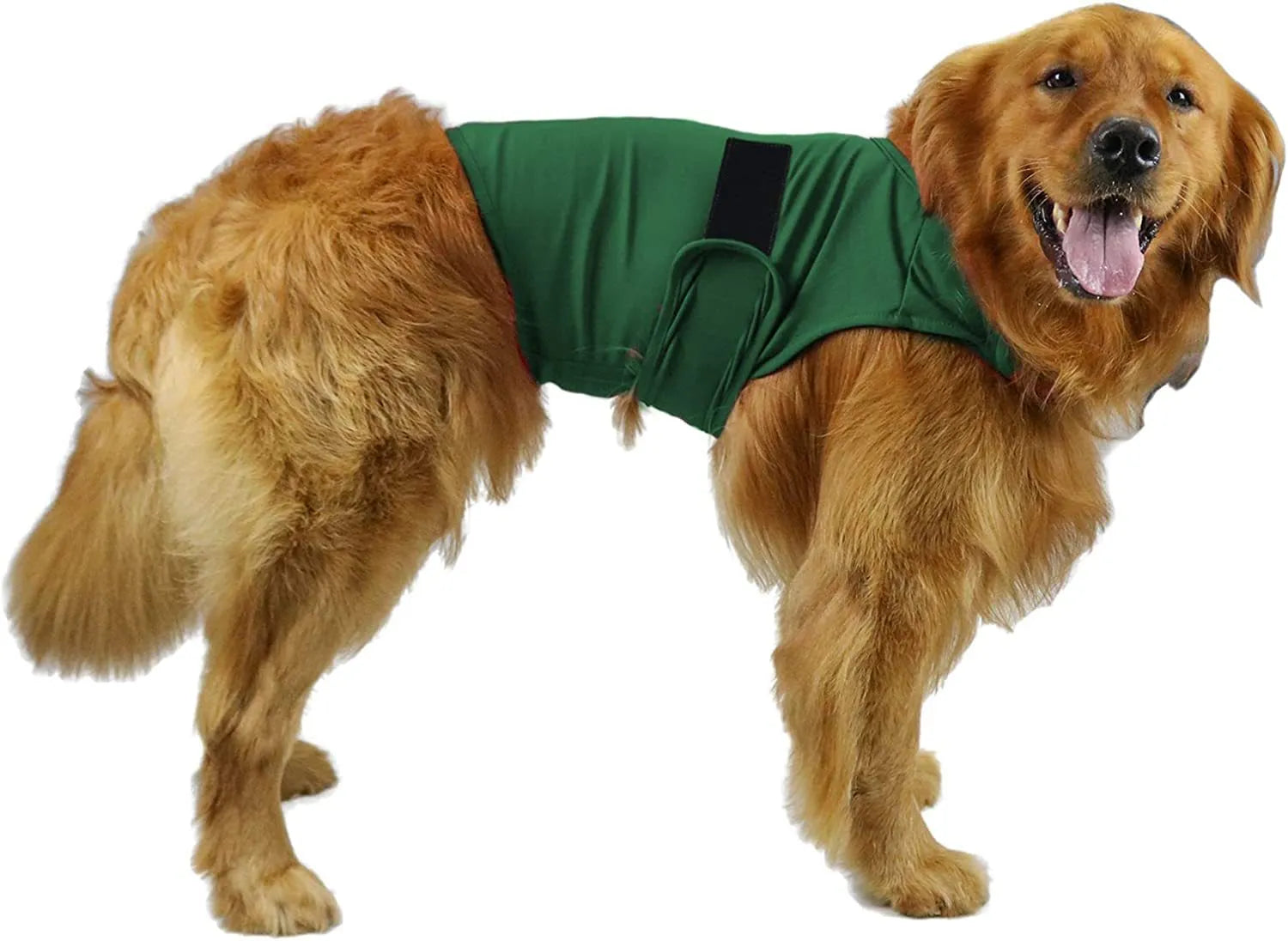 Dog wearing brown brocade cotton tank top for separation anxiety relief