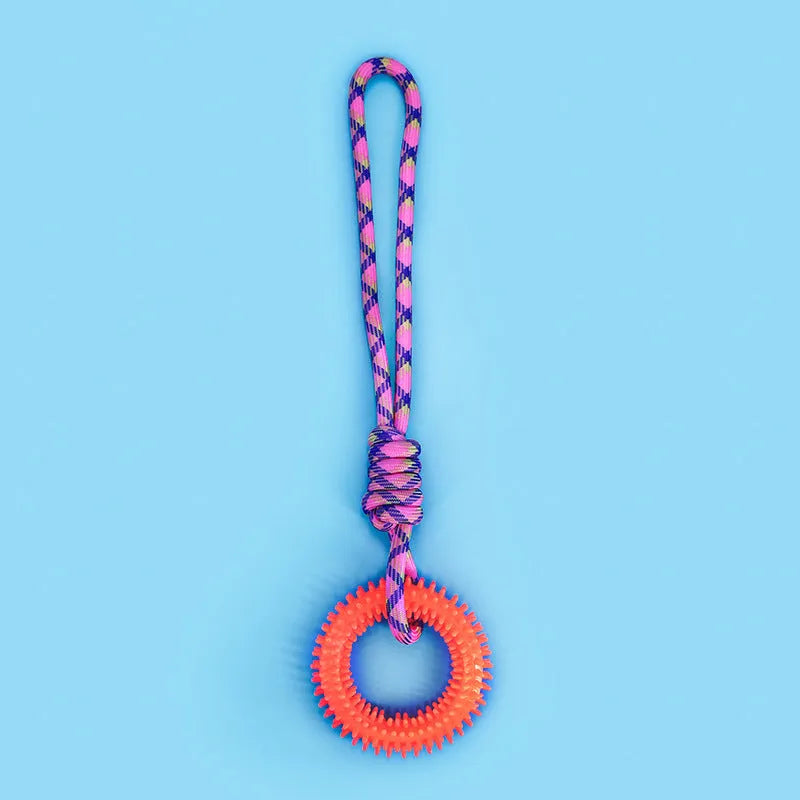 Blue braided rope pet toy with puppy knot design for biting and chewing