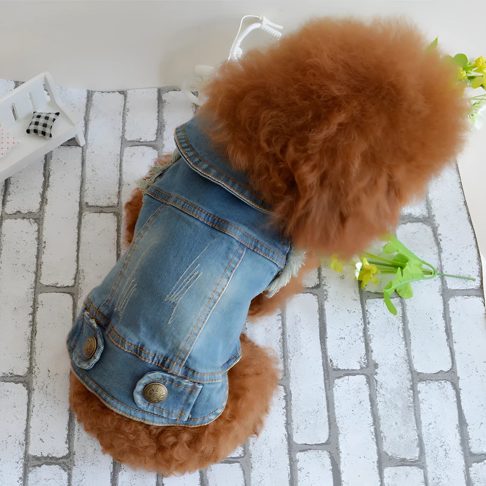 Denim dog vest with retro scratch pattern for small breeds in dark and light colour options