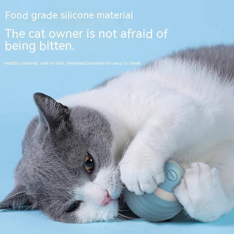Blue rechargeable smart cat toy ball that moves automatically for indoor feline entertainment