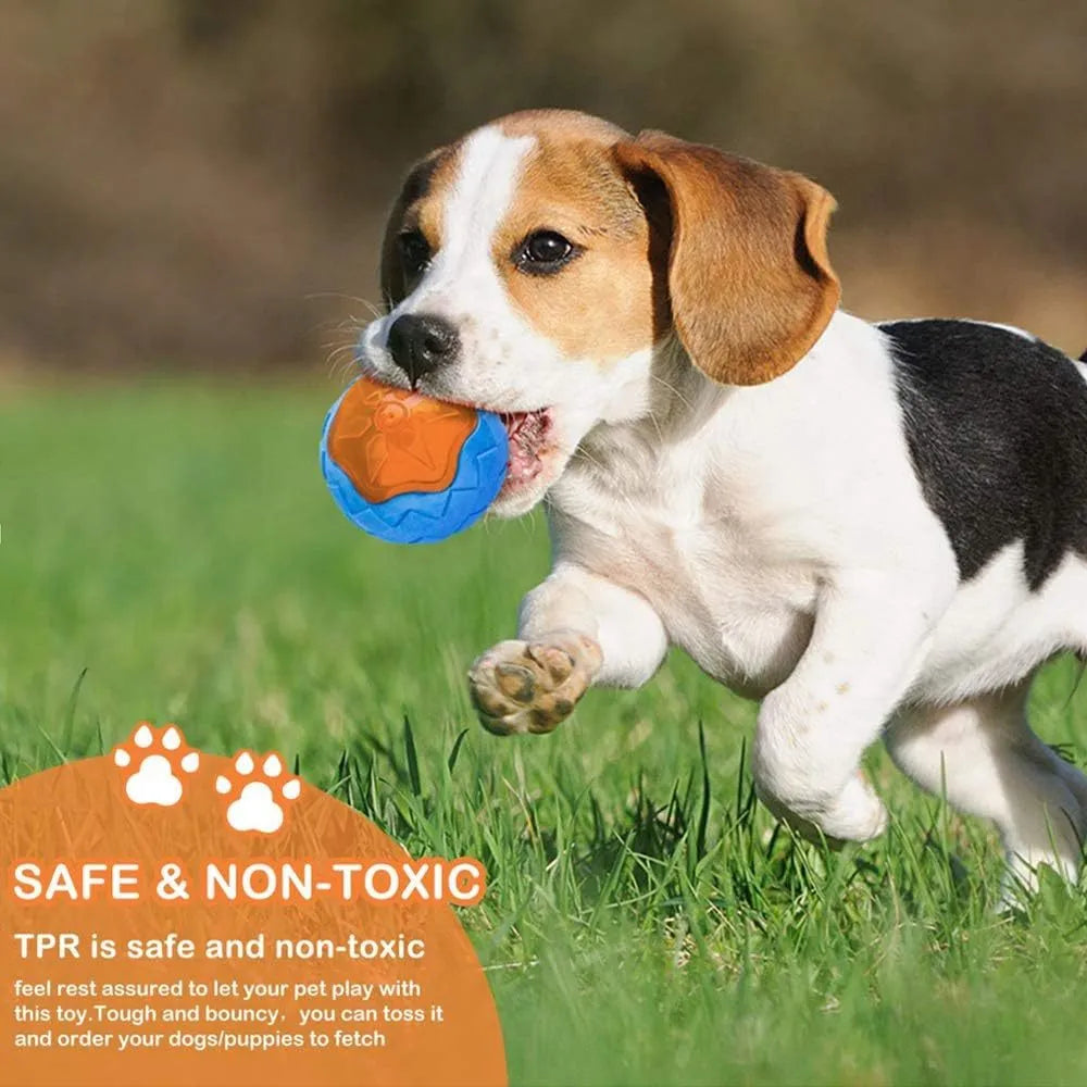 Set of three floating dog toys: a blue squeaky ball, an orange barbell, and red tyres on a beach.