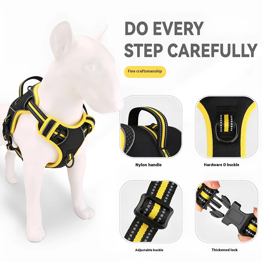 Orange polyester dog harness and leash set with anti-escape design shown on medium-sized dog