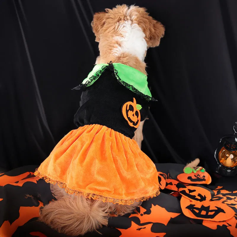 Halloween pumpkin skirt costume for small dog made from crystal velvet fabric with sizing tags