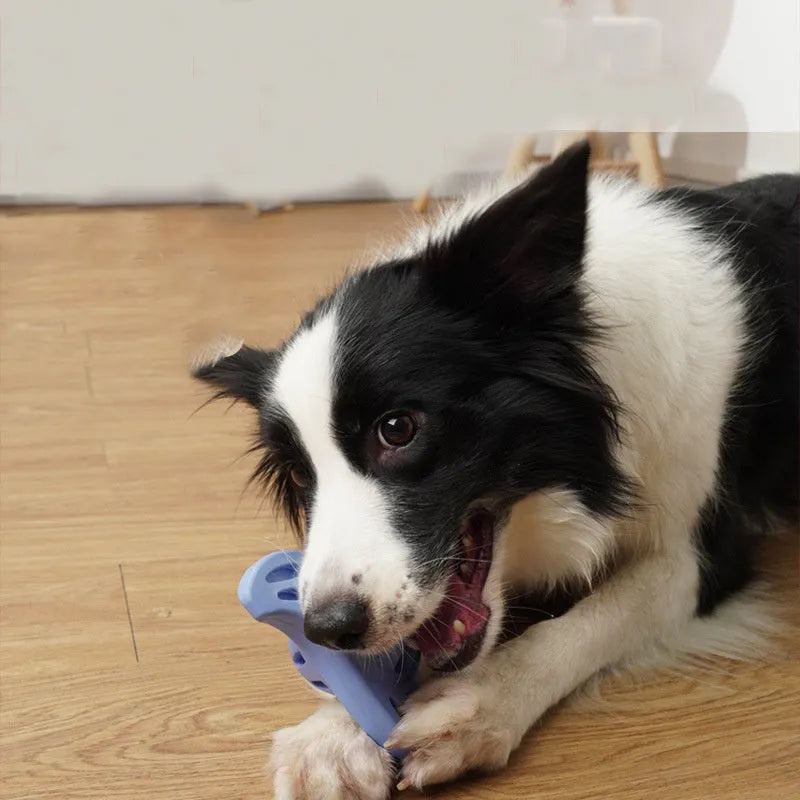 Blue boomerang-shaped dog chew toy with molar-inspired edges for medium and large breeds