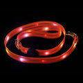 Luminous PVC dog collar and leash set in fluorescent green showing 25cm by 120cm dimensions