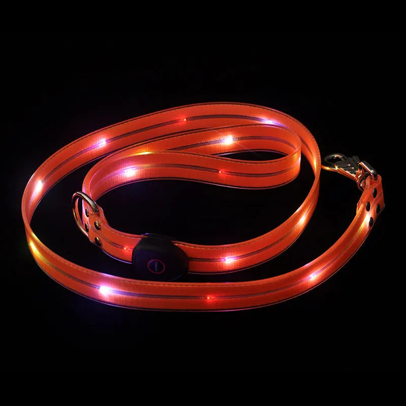 Luminous PVC dog collar and leash set in fluorescent green showing 25cm by 120cm dimensions