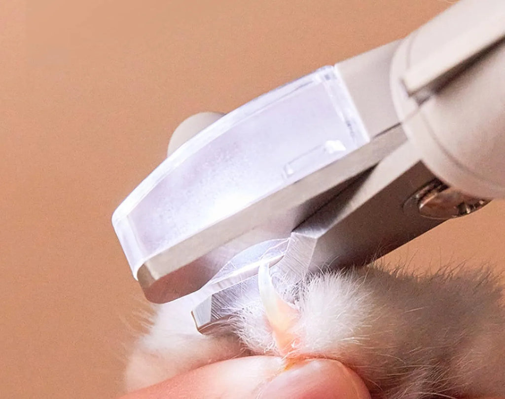 White pet nail clippers with LED light, transparent guard, and leather-like handle next to a nail file.