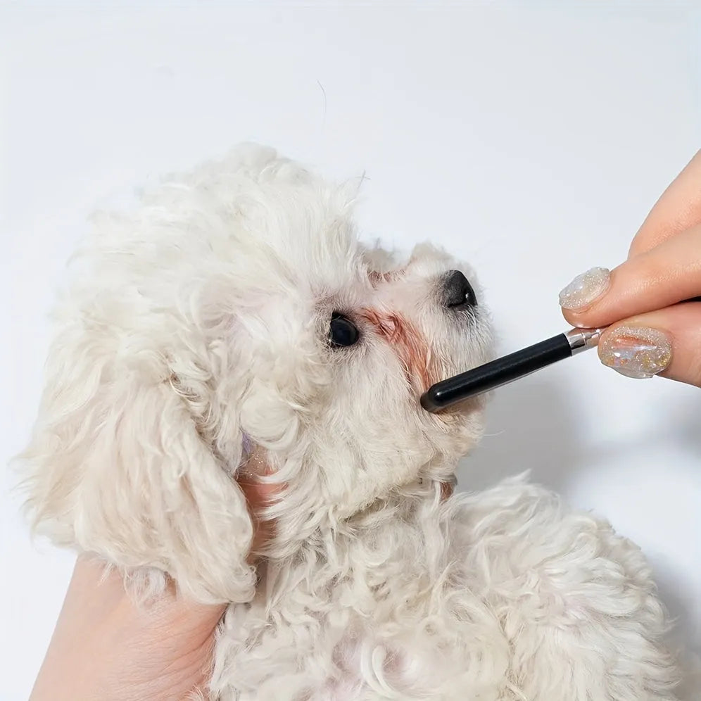 Black pet grooming brush with soft tear stain remover comb for dogs and cats ambidextrous design