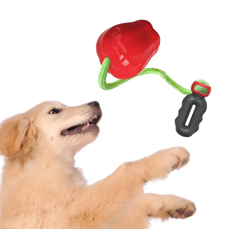 Plastic apple-shaped dog toy with squeaker in green or red for outdoor fetch and chewing