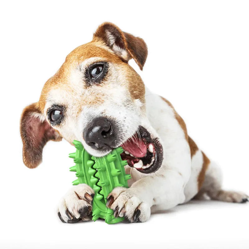 Green cactus-shaped rubber dog chew toy for dental care and aggressive chewing.